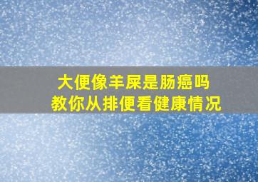 大便像羊屎是肠癌吗 教你从排便看健康情况